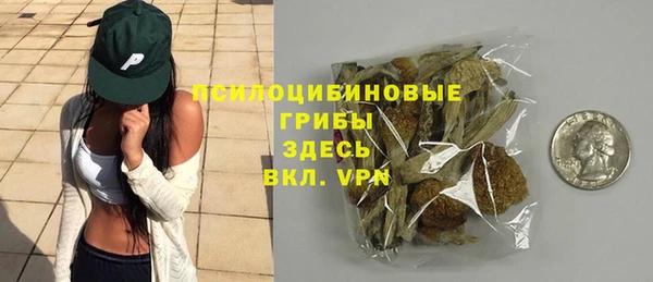 ПСИЛОЦИБИНОВЫЕ ГРИБЫ Покров