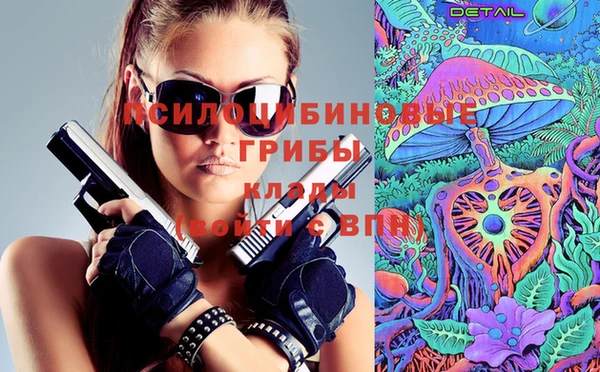 каннабис Покачи