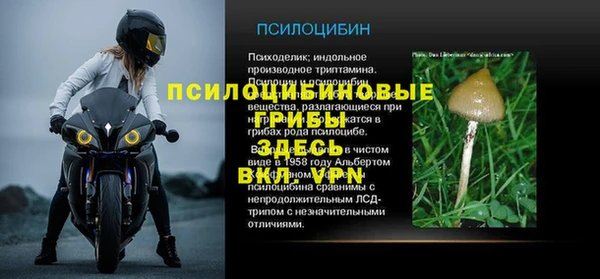 дмт Покровск