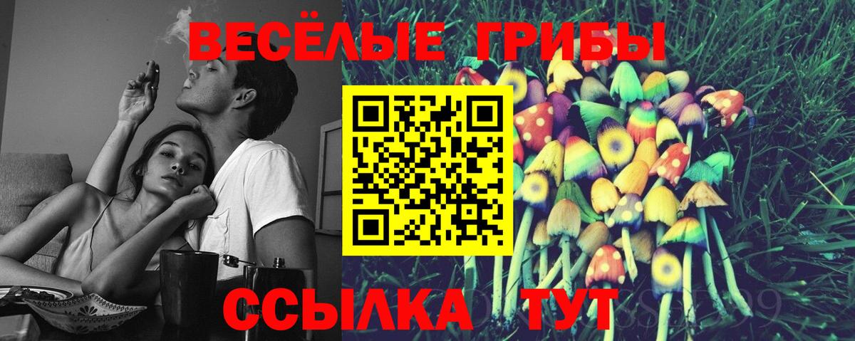 дарнет шоп  Вход с VPN  Мурино  Псилоцибиновые грибы мухоморы 